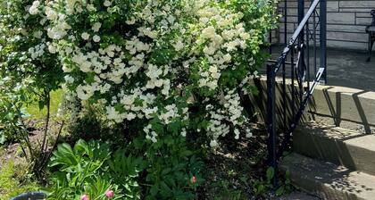 Cozy & Spacious 3 bedroom house