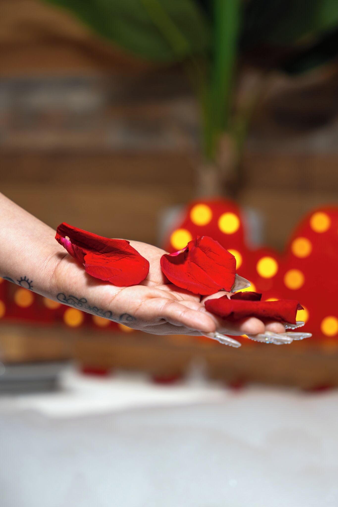 Foto - Montreal Magdalena Del Mar Hotel