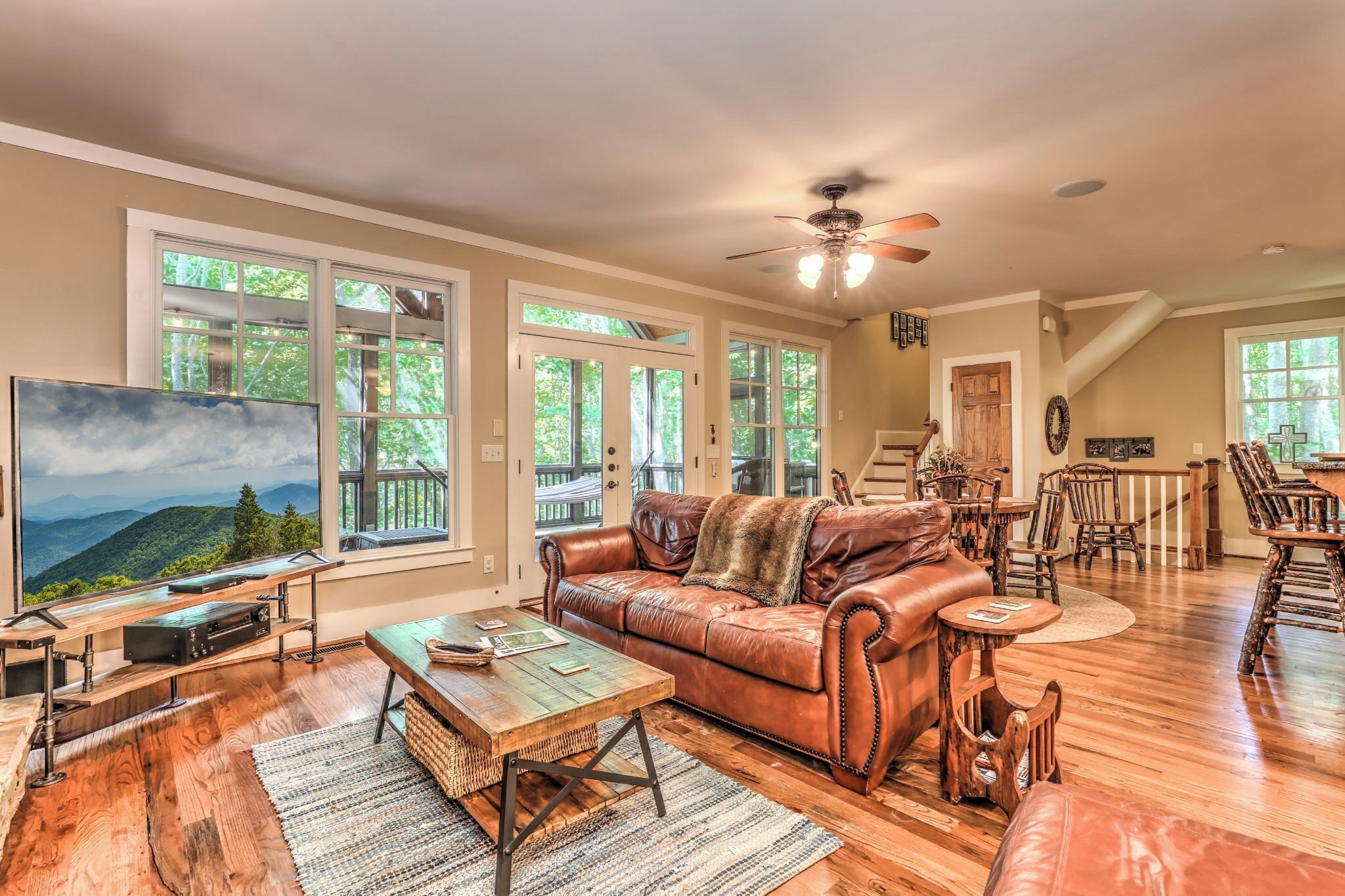 TV, fireplace, video games, DVD player