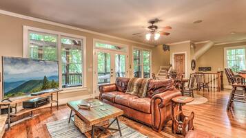 TV, fireplace, video games, DVD player