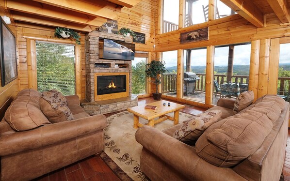 TV, fireplace, video games, DVD player