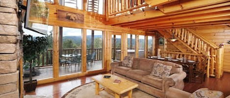 Televisión, chimenea, videojuegos, reproductor de DVD