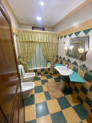 Hair dryer, bidet, towels, soap