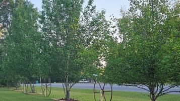 Área da propriedade