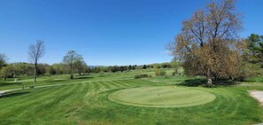 Ein gepflegter Golfplatz mit blauem Himmel, einem Putting-Green und verschiedenen Bäumen.