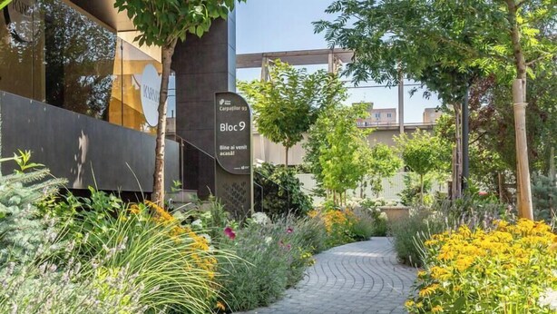 A paved pathway flanked by lush greenery and yellow flowers, leading to a building with a sign reading "Bloc 9".