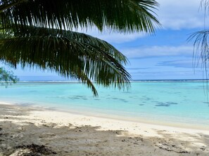 A beach with clear turquoise water, sandy shore, and a palm tree. - Kani Darling (Rarotonga)