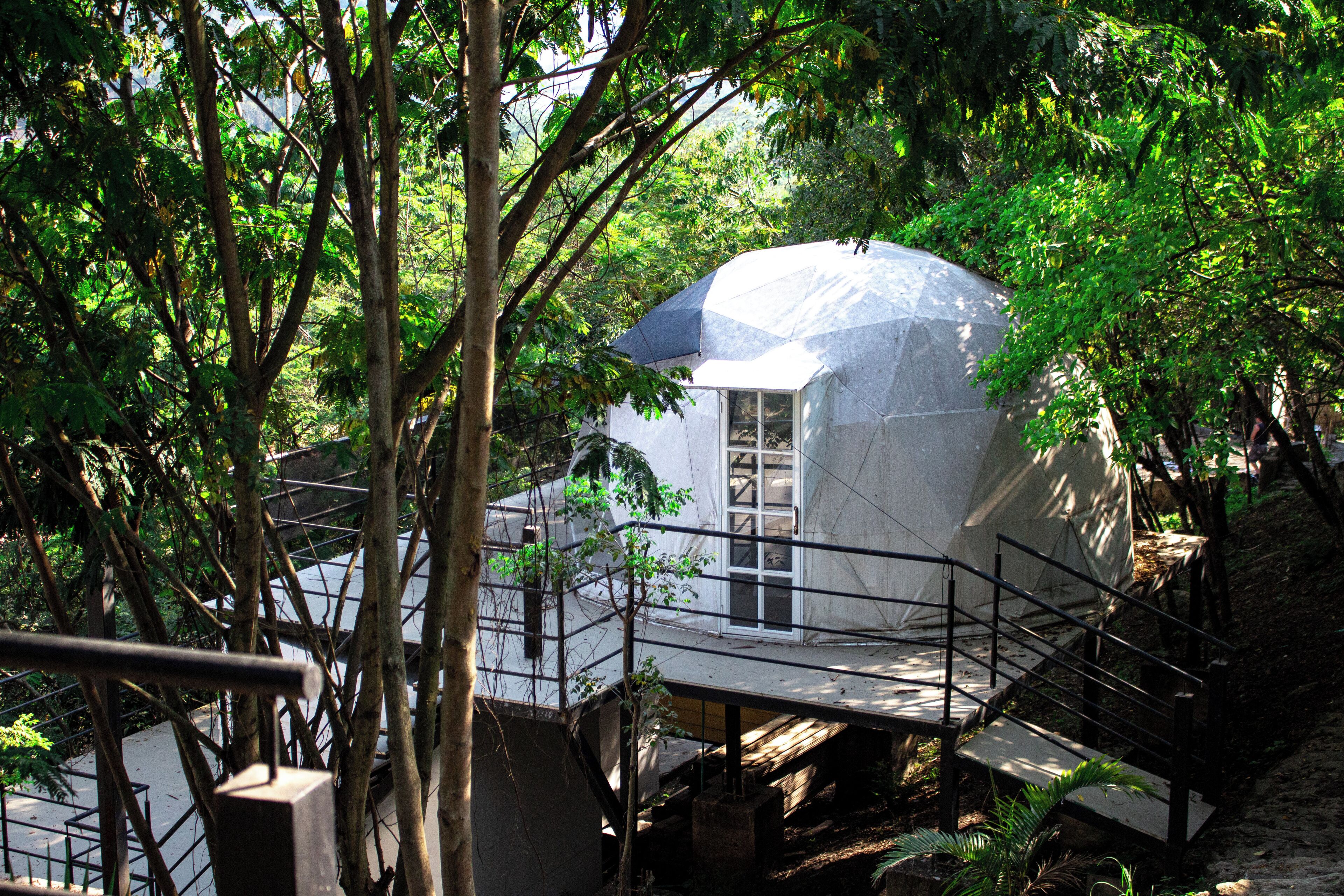 A dome-shaped building surrounded by trees.