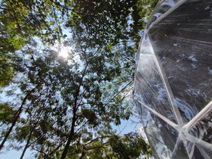 Deluxe Bungalow | 1 bedroom, bed sheets - Glamping romantico en Vista Hermosa (La Mesa)