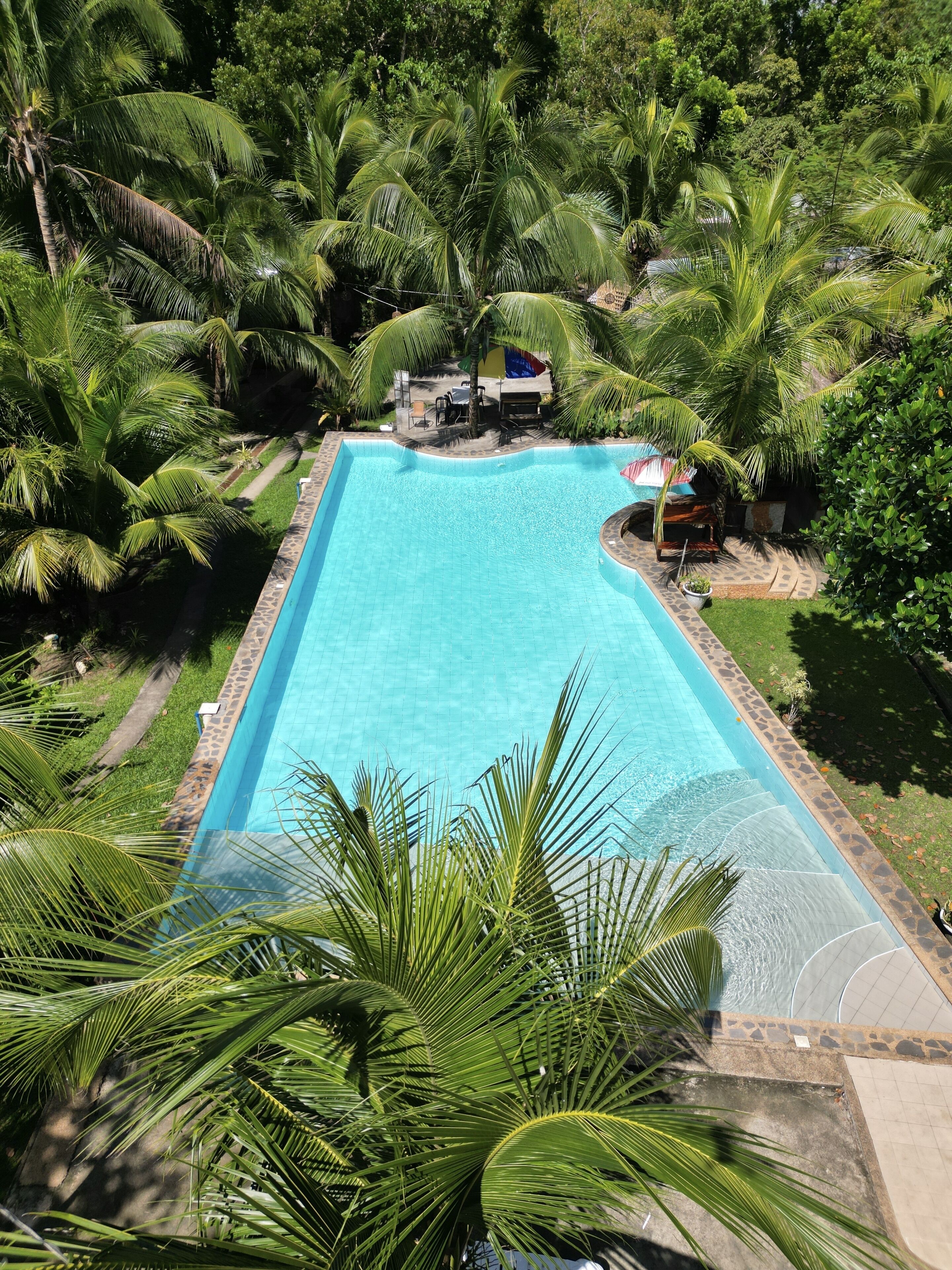 A rectangular swimming pool surrounded by lush greenery and palm trees.