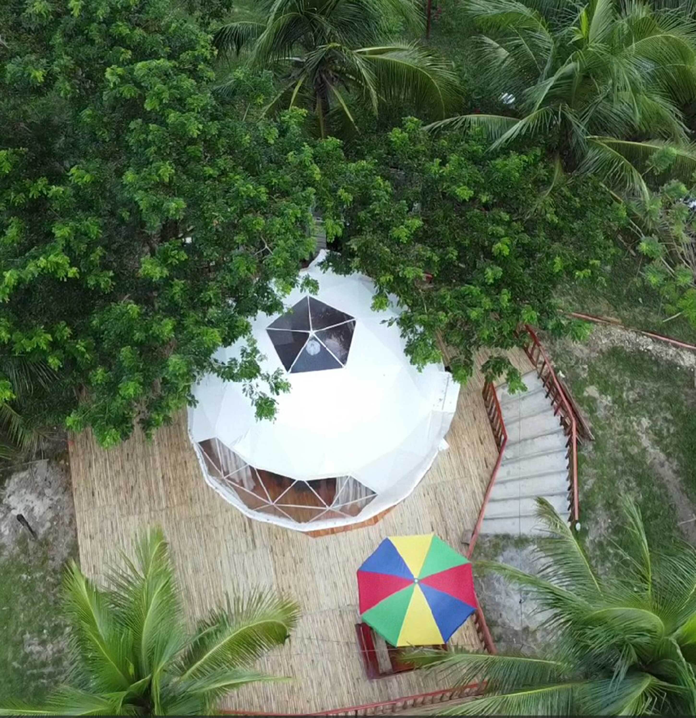 A dome-shaped structure with a geometric roof, surrounded by dense tropical foliage and a wooden deck.