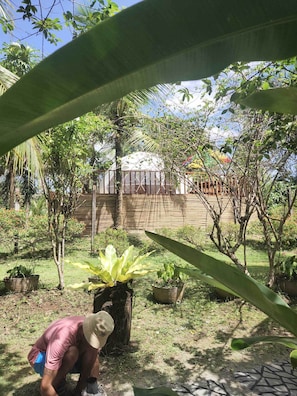 Vista frontal de la propiedad