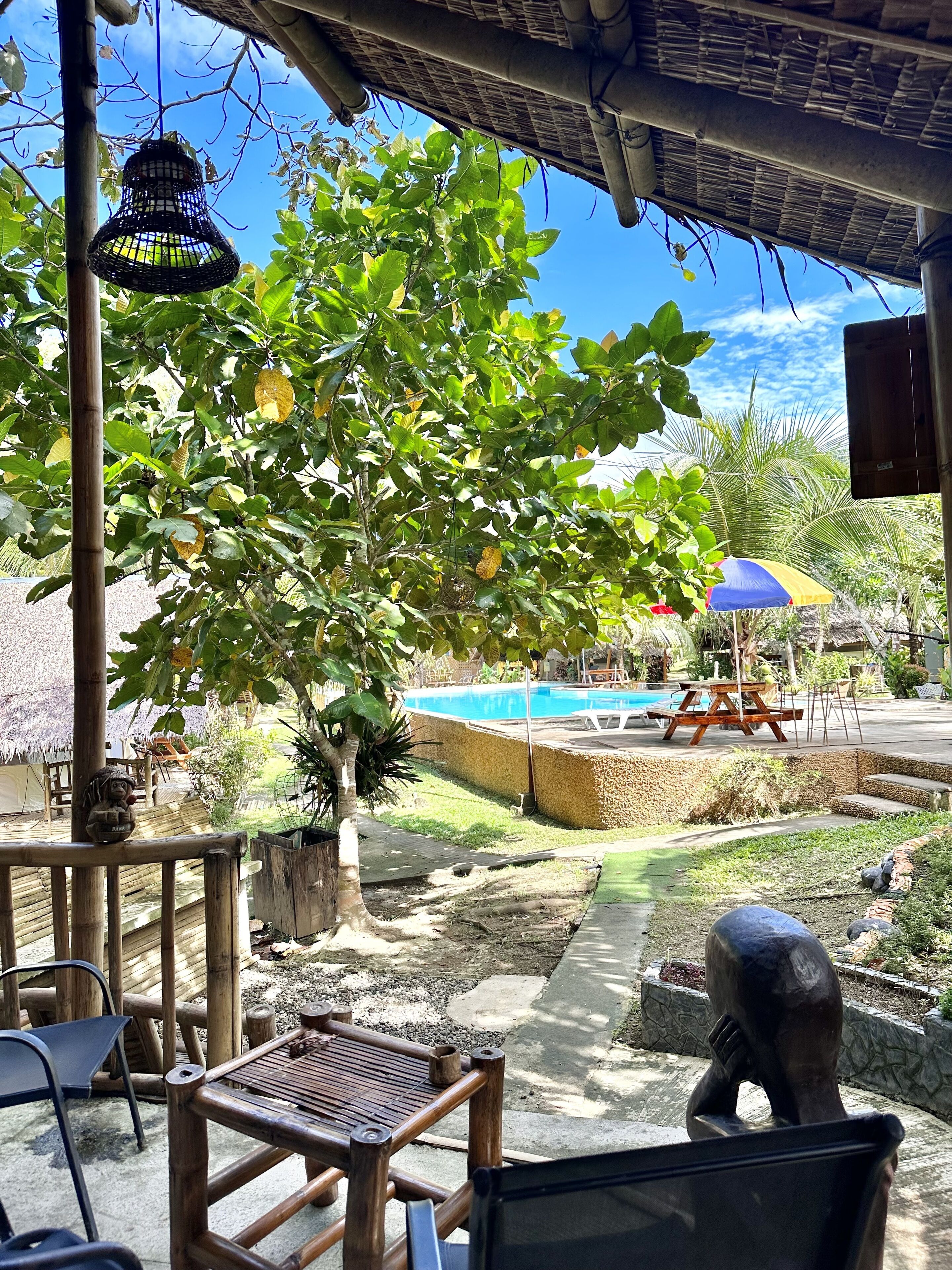 A pool area with a bamboo fence, a table, chairs, and a statue.