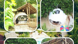 Ảnh chưa phân loại, 4 trong số 56 ảnh, nút