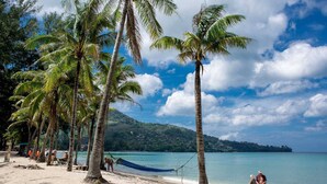A beach with palm trees, a hammock, and a clear blue sky. - Citygate Kamala Residence P204 (Kamala)