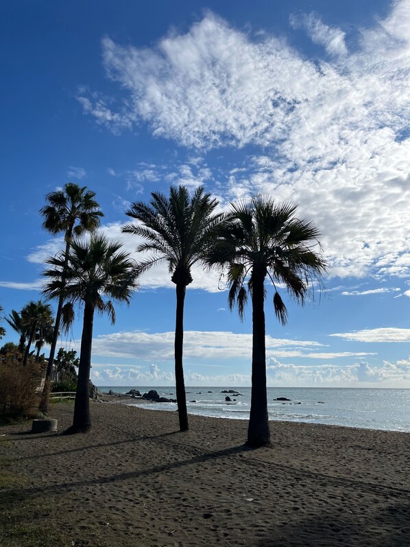 Una playa con palmeras y cielo despejado.