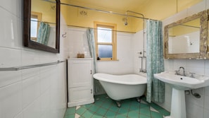 Combined shower/tub, hair dryer