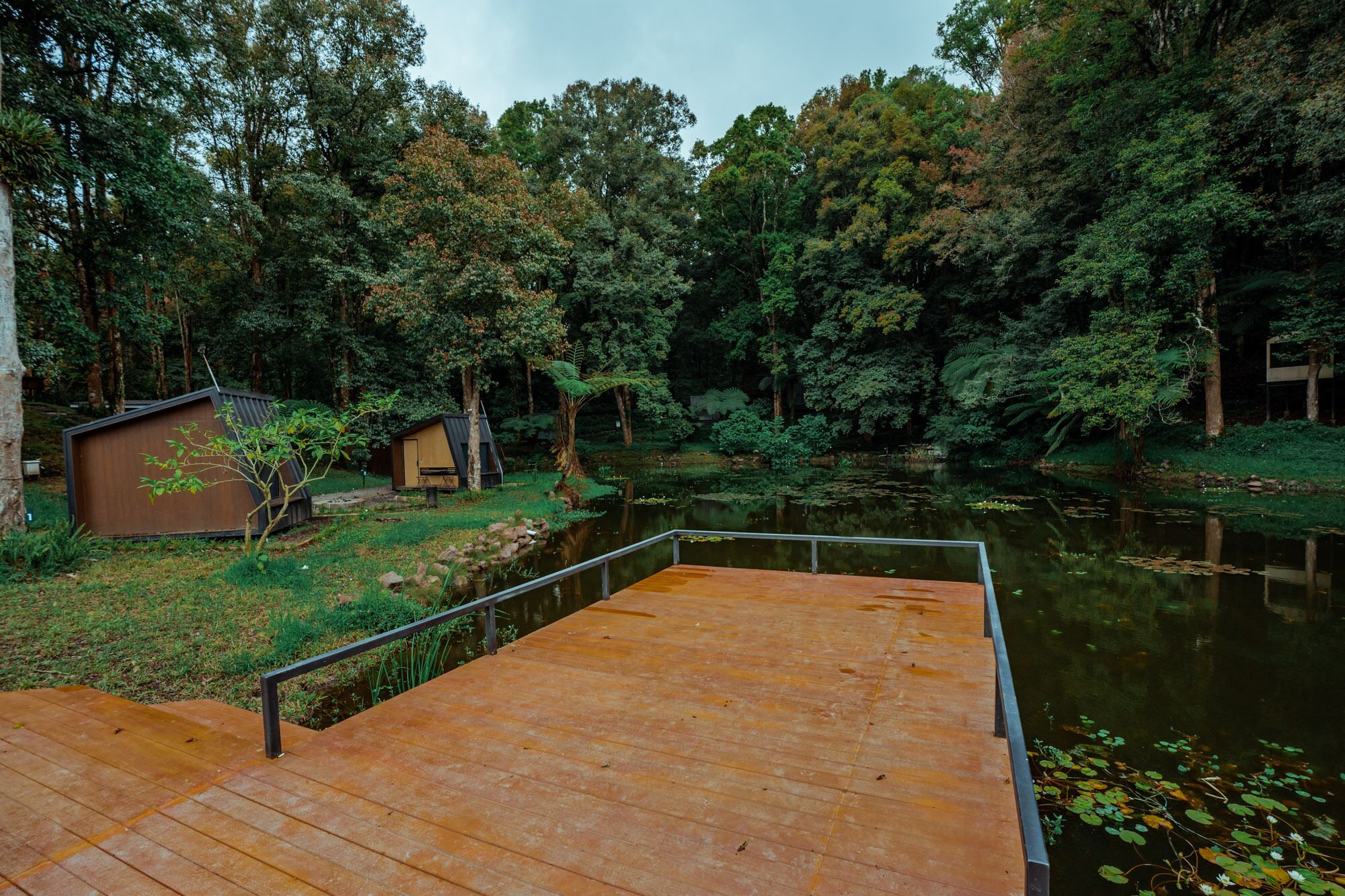 A wooden dock extending into a calm pond surrounded by dense forest.