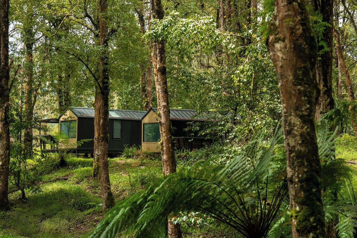 A forest with two cabins, one with a sloped roof and the other with a flat roof, surrounded by dense greenery.