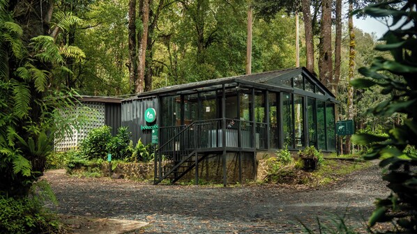 A wooden cabin with a glass facade, surrounded by dense forest.