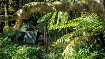 Standard Cabin, Shared Bathroom