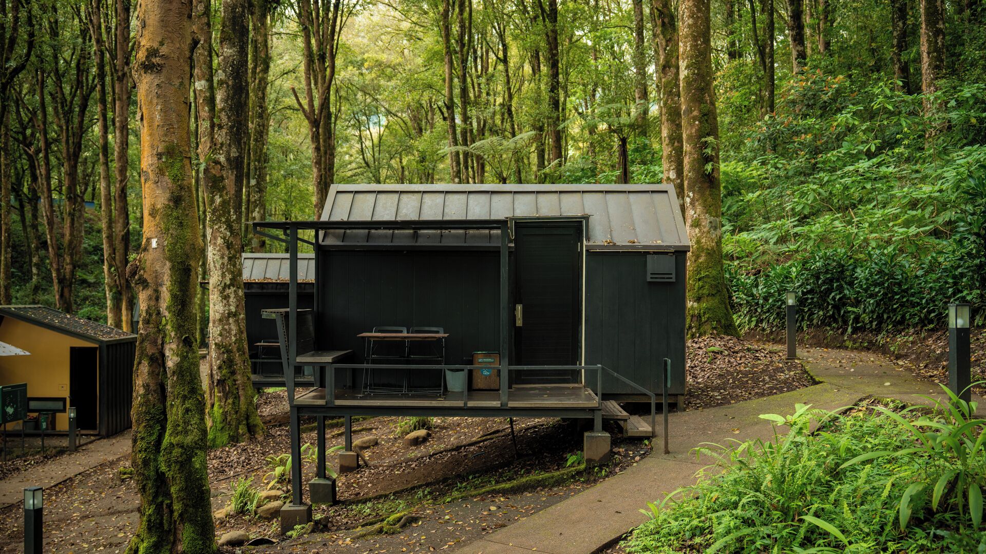 A small cabin with a deck, surrounded by dense forest.