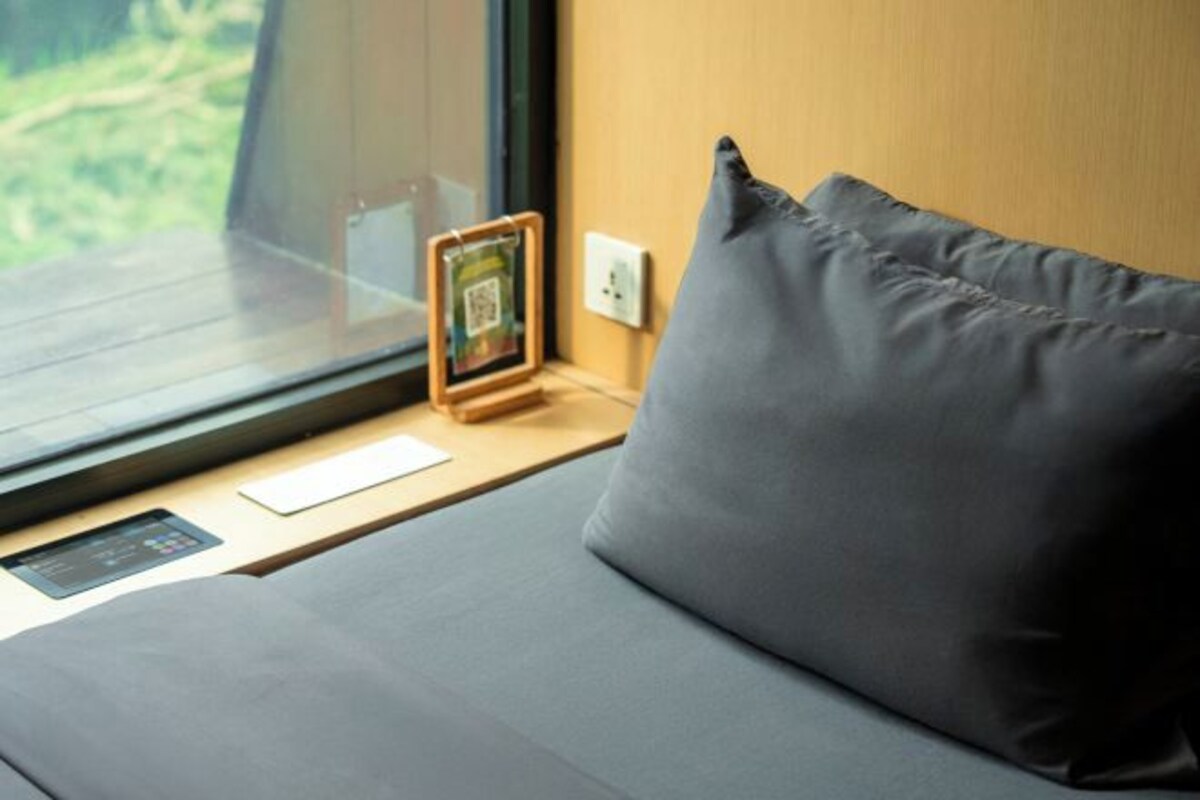 A bed with a grey pillow, a small wooden side table with a framed picture, and a window with a view of greenery.