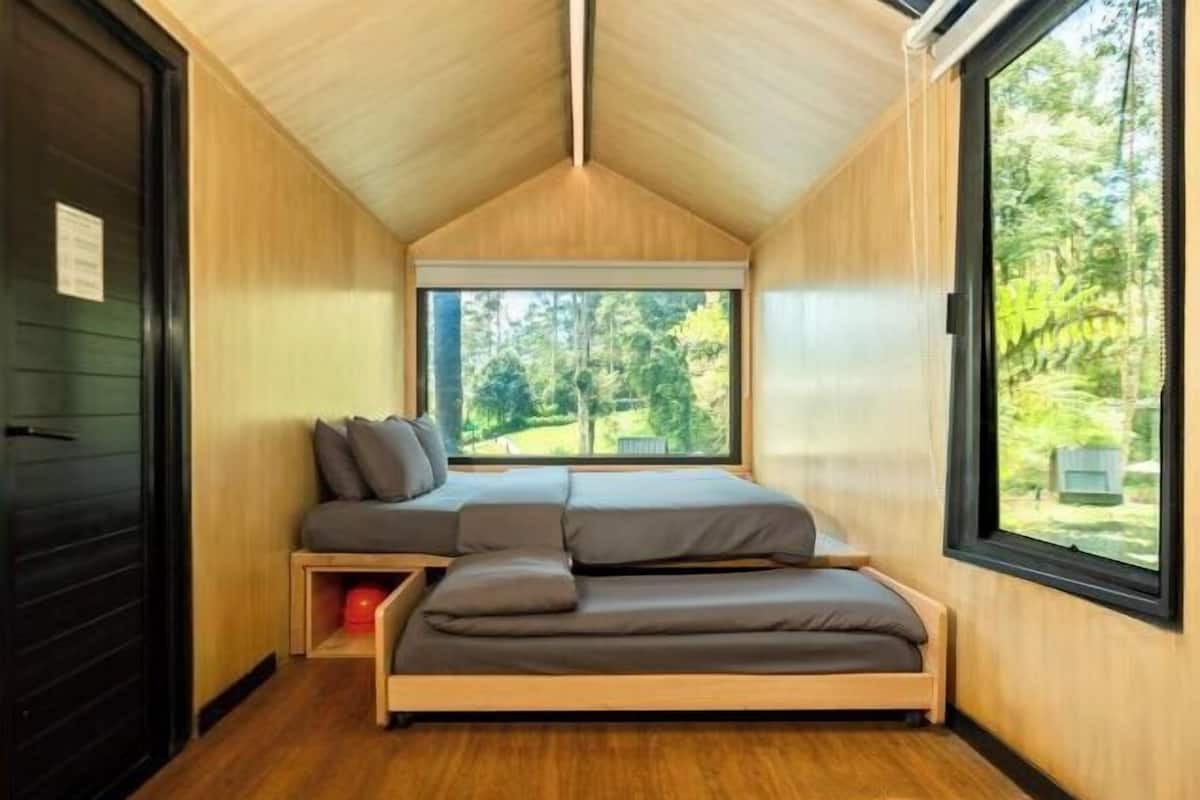A compact room with a built-in bed, a window with a view of greenery, and a door.
