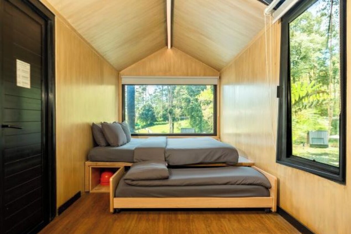 A compact room with a built-in bed, a window with a view of greenery, and a door.