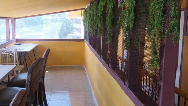 A dining area with a yellow wall, a table with chairs, and a decorative wall with greenery. - HOSPEDAJE BARATO MI CASITA DE COLORES (Tijuana)