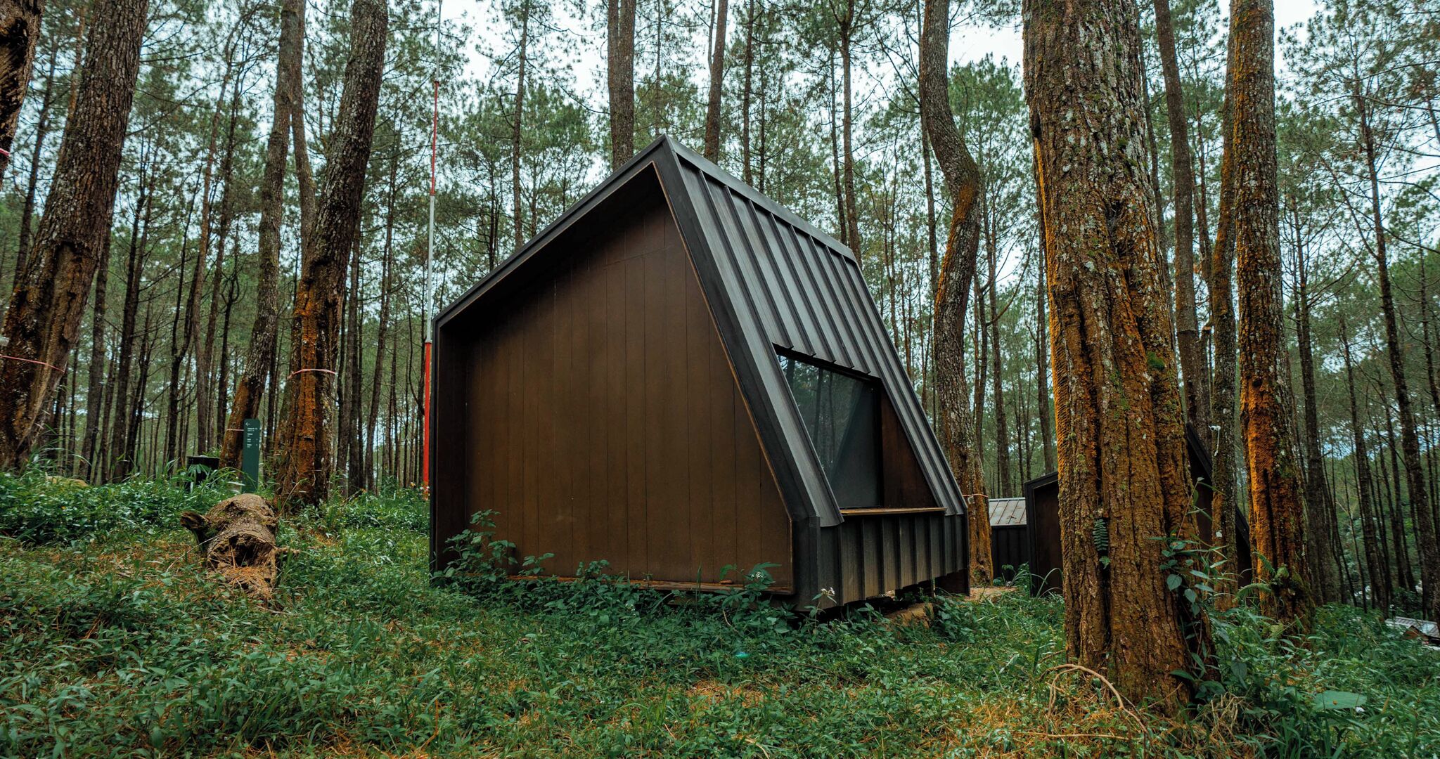 Une petite cabane en bois, de plain-pied, située dans une forêt.