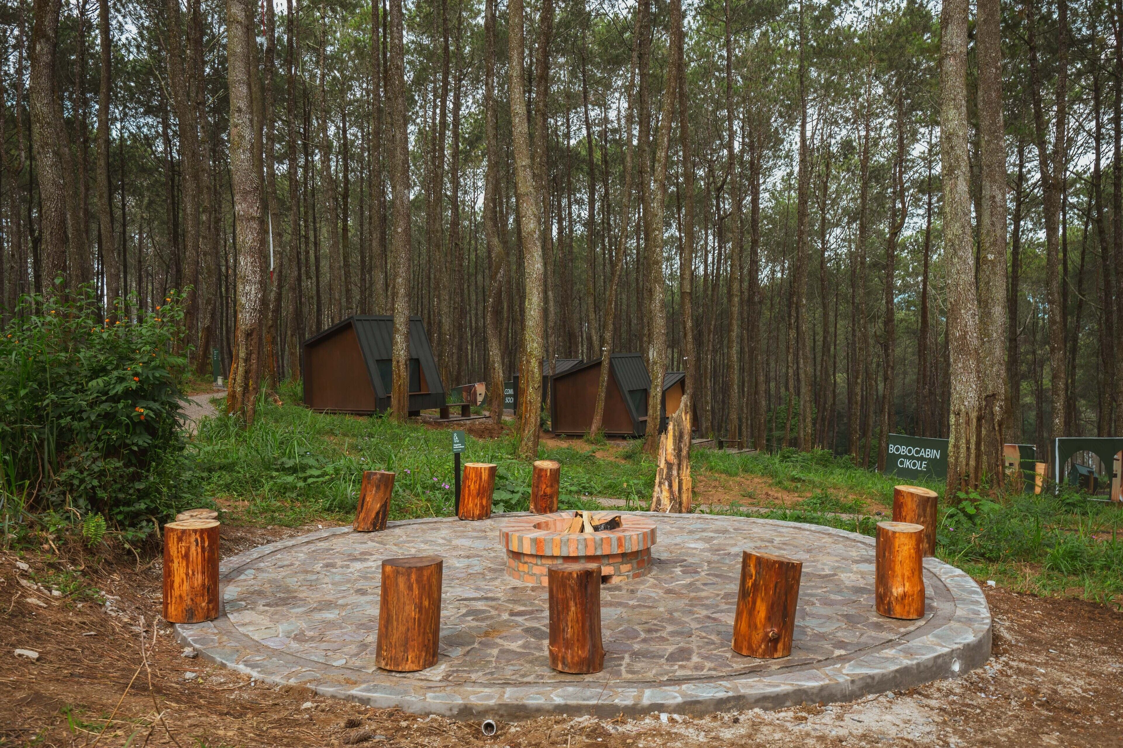 Un foyer circulaire en pierre, entouré de souches d’arbres, est aménagé dans une zone boisée, avec des cabanes en arrière-plan.
