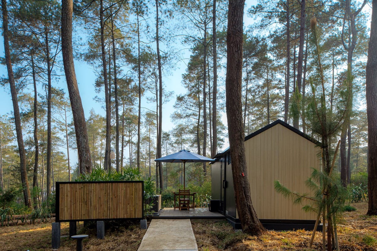 Uma cabana com um deck de madeira, área de estar coberta e uma grande árvore em primeiro plano.