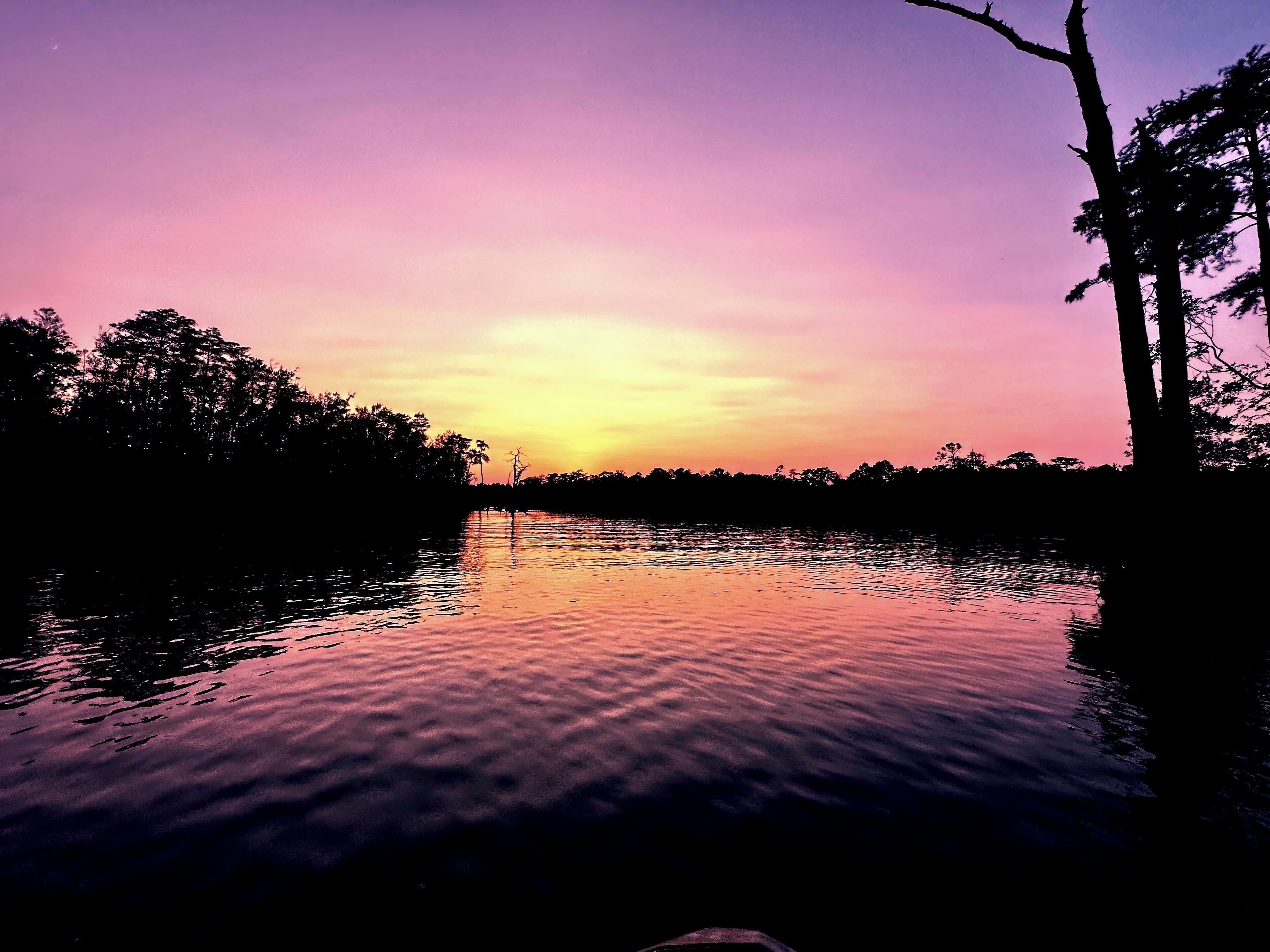 Un coucher de soleil sur une étendue d’eau calme, avec des arbres se découpant en silhouette sur le ciel.