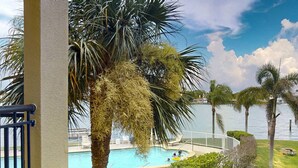 Ein Poolbereich mit Palmen, Blick auf das Wasser und einer weißen Brüstung.