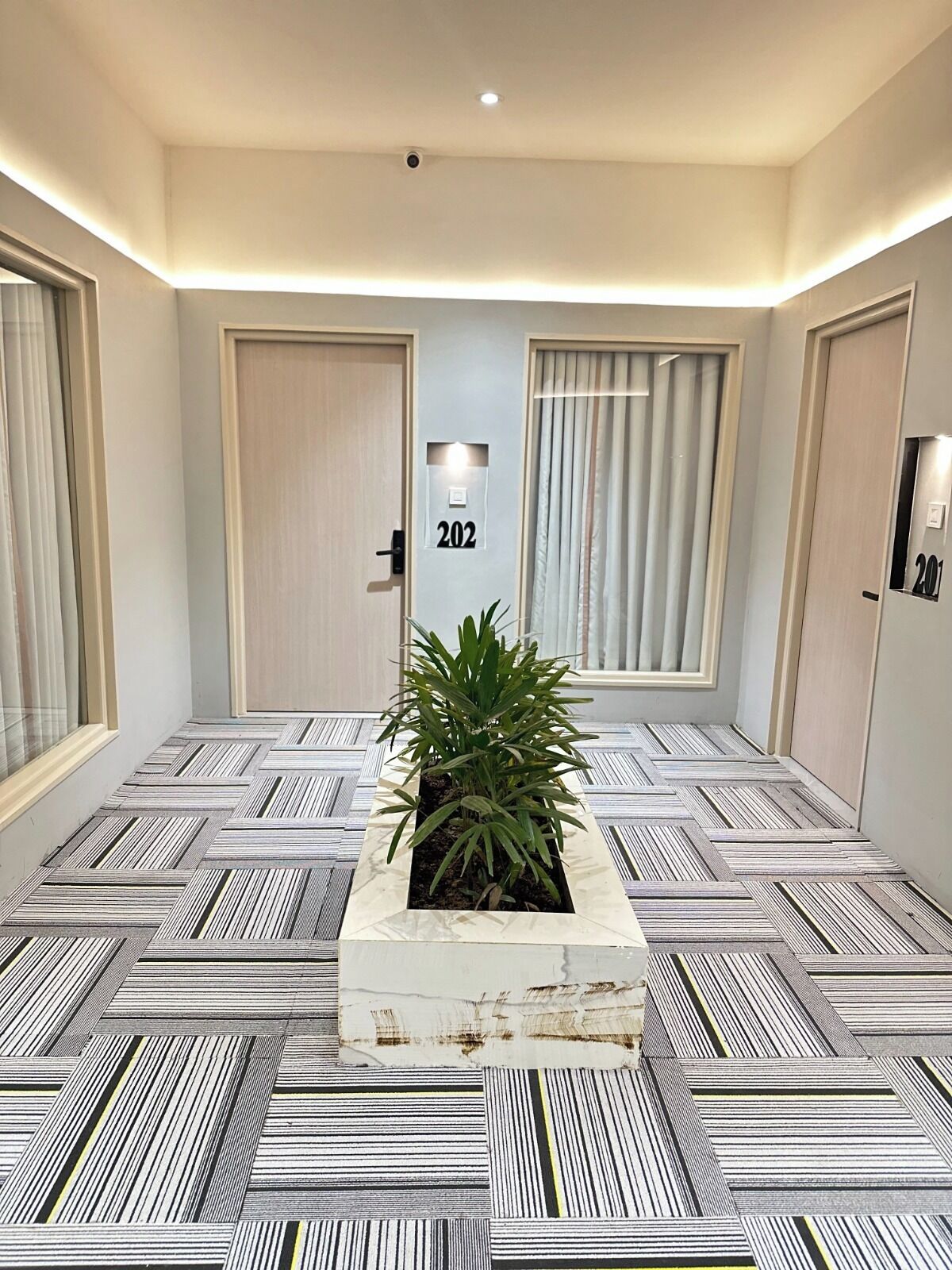 Corredor de hotel com piso estampado, um vaso de planta e portas com os números 202 e 201.