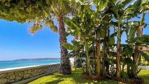 Un jardin bien entretenu, agrémenté de palmiers et d’un mur de pierre, qui offre une vue dégagée sur la mer.