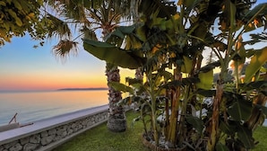 Un jardin avec un mur de pierre et des plantes tropicales, offrant une vue sur une mer calme au coucher du soleil.