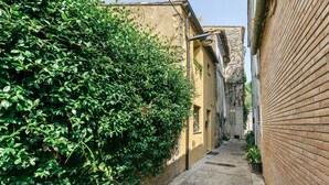 A narrow alleyway with a building on the right and a wall of greenery on the left. - Country House 'L Heura' with Private Terrace, Wi-Fi and Air Conditioning (Navata)