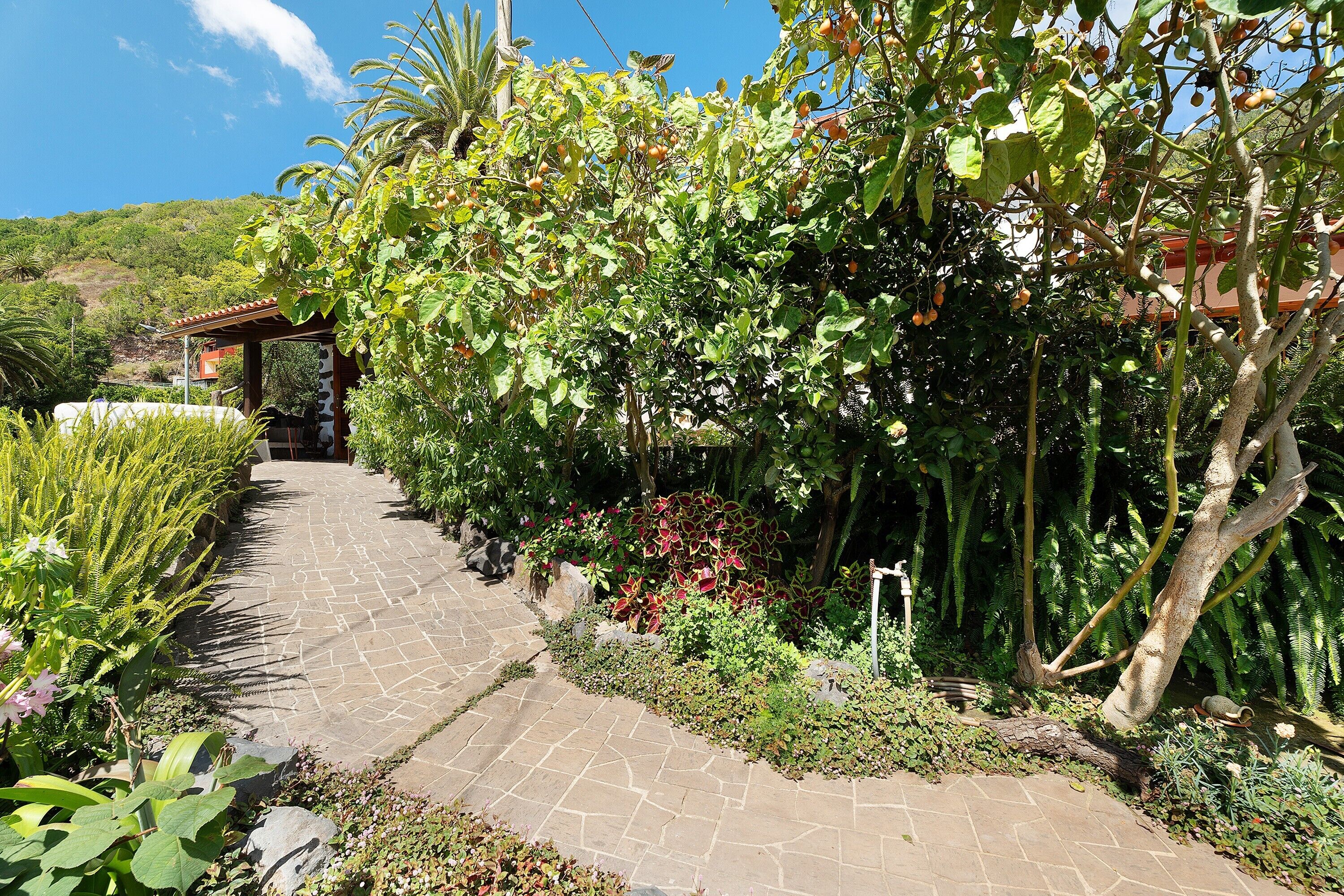 Áreas de la propiedad