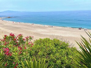 A beach with clear blue water, sandy shore, and green vegetation in the foreground.