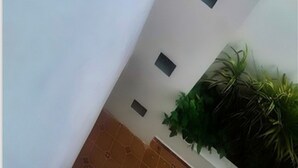 A room with a white wall, three recessed lights, and a large potted plant. - Departamentos Villas Capdeviel (Cancun)