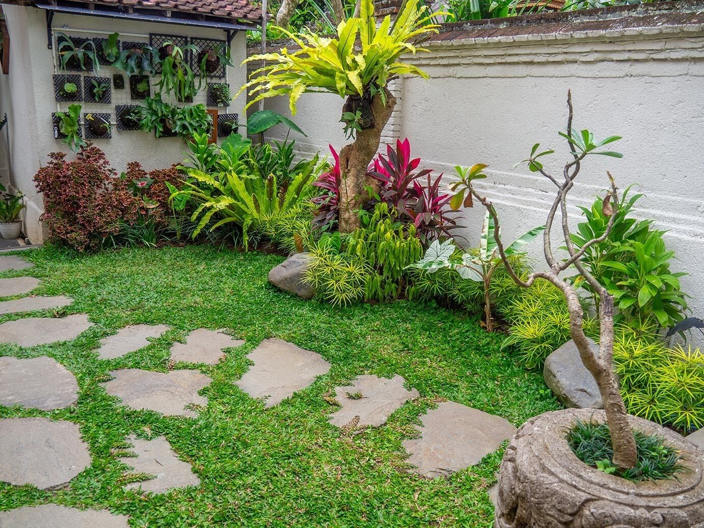 A garden with a variety of plants and a stone pathway.