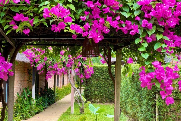 Vista al jardín