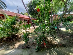 Jardin
