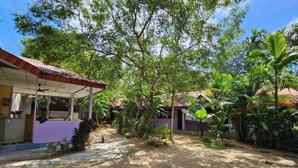 A courtyard with a covered seating area, surrounded by lush greenery and trees. - Havelock Harmony Resort (Port Blair)