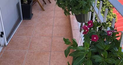 Cosy apartment for relaxing holidays in Glyfa, Greece, just 5 min from the beach