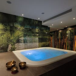 Couples treatment room(s), sauna, hot tub, steam room
