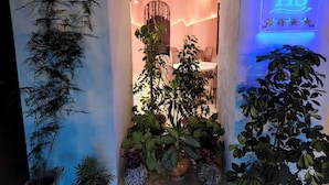 An entrance with a hanging plant, a blue illuminated sign, and a well-lit interior. - SANAPIRO (Tbilisi)
