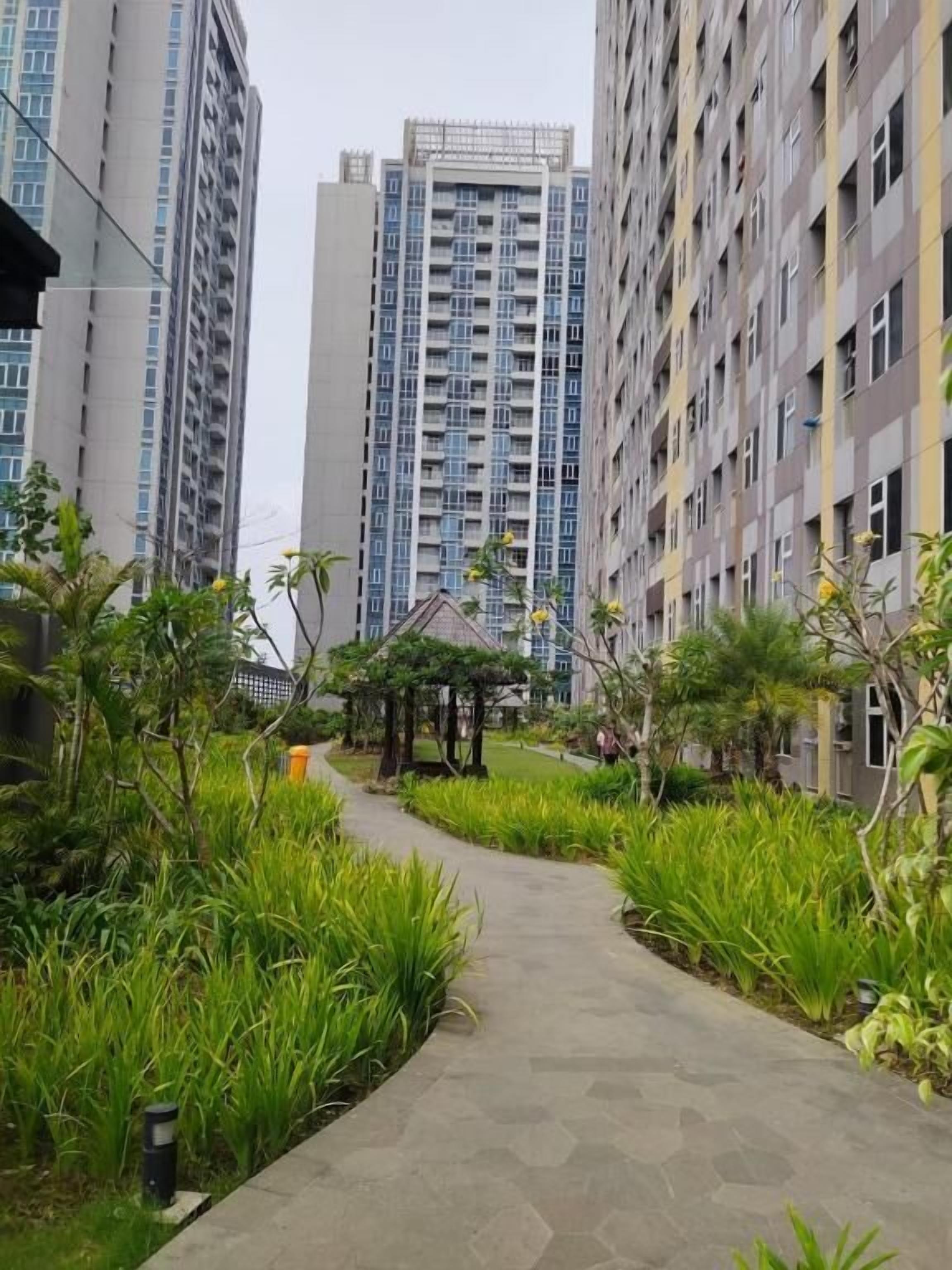 Un chemin bordé d’une végétation luxuriante et de grands immeubles d’habitation.